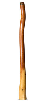 Wix Stix Didgeridoo (WS338)